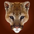 Abstract Low Poly Puma Design