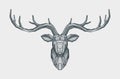 Abstract low poly triangle deer head. Decorative reindeer. Animal vector illustration