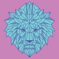 Abstract Low Polygon Lion Head Light Blue And Pink Color Vector Illustration