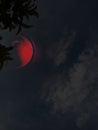 Abstract of the lunar eclipse and dim sky Royalty Free Stock Photo