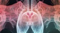 Abstract Lungs and Heart Digital Rendering Pink, Teal, and White