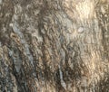 Abstract mable texture Royalty Free Stock Photo