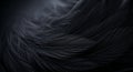 Dark macro shot of soft textured black feathers Royalty Free Stock Photo
