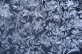 Abstract macro image of window frost flowers