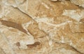 Abstract Macro Sandstone Textures, Natural textures, Background Textures Royalty Free Stock Photo