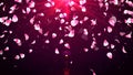 Abstract Magic Shiny Sweet Pink Flower Petals And Glitter Sparkle Dust Falling With Red Light Burst On The Top 3D Royalty Free Stock Photo