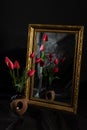 Abstract Magic. Tulip flowers in dark room reflecting in mirror