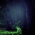 Abstract and magical image of Firefly flying in the night forest. Fairy tale concept. Royalty Free Stock Photo