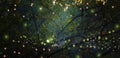 Abstract and magical image of Firefly flying in the night forest. Fairy tale concept. Royalty Free Stock Photo