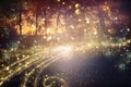 Abstract and magical image of glitter Firefly flying in the night forest. Fairy tale concept. Royalty Free Stock Photo