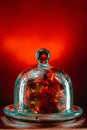 Abstract magical representation of autumn with red chrysanthemums under backlit glass cover in the dark