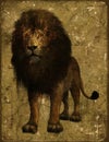 Abstract Male Lion Wildlife Background