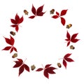 Abstract Maple and Acorn Autumn Wreath Royalty Free Stock Photo