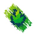 Abstract maple leaf. Colorful green summer or spring leaves