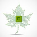 Abstract maple leaf with microprocessor inside Royalty Free Stock Photo