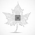 Abstract maple leaf with microprocessor inside Royalty Free Stock Photo