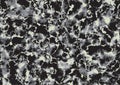 Abstract Marble Black and White Backgrounds