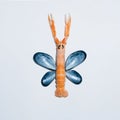 Abstract marine composition : a shrimp and mussels shells forming a butterfly