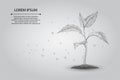 Abstract mash line and point plant sprout ecological abstract concept. Save planet and nature, environment polygon