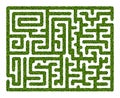 Abstract maze of green hedge on white background Royalty Free Stock Photo