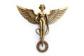 Medical and Healthcare Caduceus Emblem