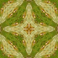 Abstract medieval cross kaleidoscope