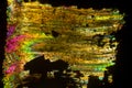 Abstract micrograph of an Australian stromatolite