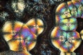 Abstract micrograph of colorful rounded stacks of lysine crystal