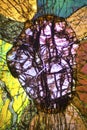 Abstract micrograph of olivine pyroxenite viewed with a polarizing microscope Royalty Free Stock Photo