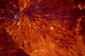 Abstract micrograph of orange and blue lysine crystals. Royalty Free Stock Photo