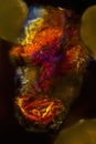Abstract micrograph of a sand grain from Anguilla, with polarization
