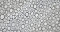 Abstract Microscopic Bubbles Texture Royalty Free Stock Photo
