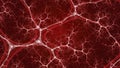 Abstract Microscopic View of Blood Vessels and Capillaries in a Red Biological Network Royalty Free Stock Photo