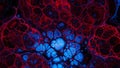 Microscopic View of Cellular Structures with Interconnected Red and Blue Membranes and Bubbles Royalty Free Stock Photo