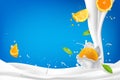 Abstract milk splashes with oranges fruit for advertising Royalty Free Stock Photo