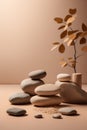 Abstract minimal nature scene - empty stage and composition of stones on beige background and soft shadows of tree leaves. Royalty Free Stock Photo