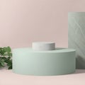 Abstract minimal scene with Stone podium display. stage pedestal or platform in background with Green Leaves. for cosmetic product Royalty Free Stock Photo