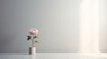 Abstract Minimalism: A Playful Peony In An Empty Room