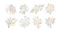 Abstract minimalistic flowers set. Modern floral creative bouquets in line art style. Stylized simple spring plants