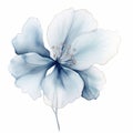 Abstract minimalistic watercolor flower, isolated on white background.