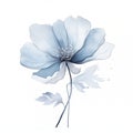 Abstract minimalistic watercolor flower, isolated on white background.