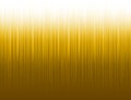 Abstract modern background with golden vertical lines. Backgrounds composed of glowing gold lines. Can be used for scrap booking,