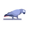 Abstract modern illustration of a african grey parrot Psittacus erithacus. Side view. Trendy artistic vector design isolated on Royalty Free Stock Photo