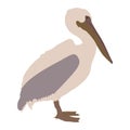 Abstract modern illustration of a great white pelican Pelecanus onocrotalus standing. Side view. Trendy artistic vector design Royalty Free Stock Photo