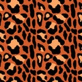 Abstract modern leopard seamless pattern. Animals trendy background. Color decorative vector illustration for print Royalty Free Stock Photo
