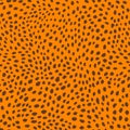 Abstract modern leopard seamless pattern. Animals trendy background. Orange decorative vector stock illustration for Royalty Free Stock Photo