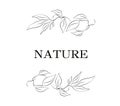 Abstract, modern logo of tropical leaves. symbol of eco, nature, symbol. an element with space for text, single line style. for