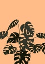 Abstract modern print with monstera leaves on orange background