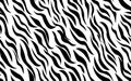 Abstract modern zebra seamless pattern. Animals trendy background. White and black decorative vector stock illustration Royalty Free Stock Photo