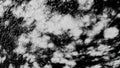 Abstract monochrome waves, view below the water surface, seamless loop. Animation. Water surface background flowing with